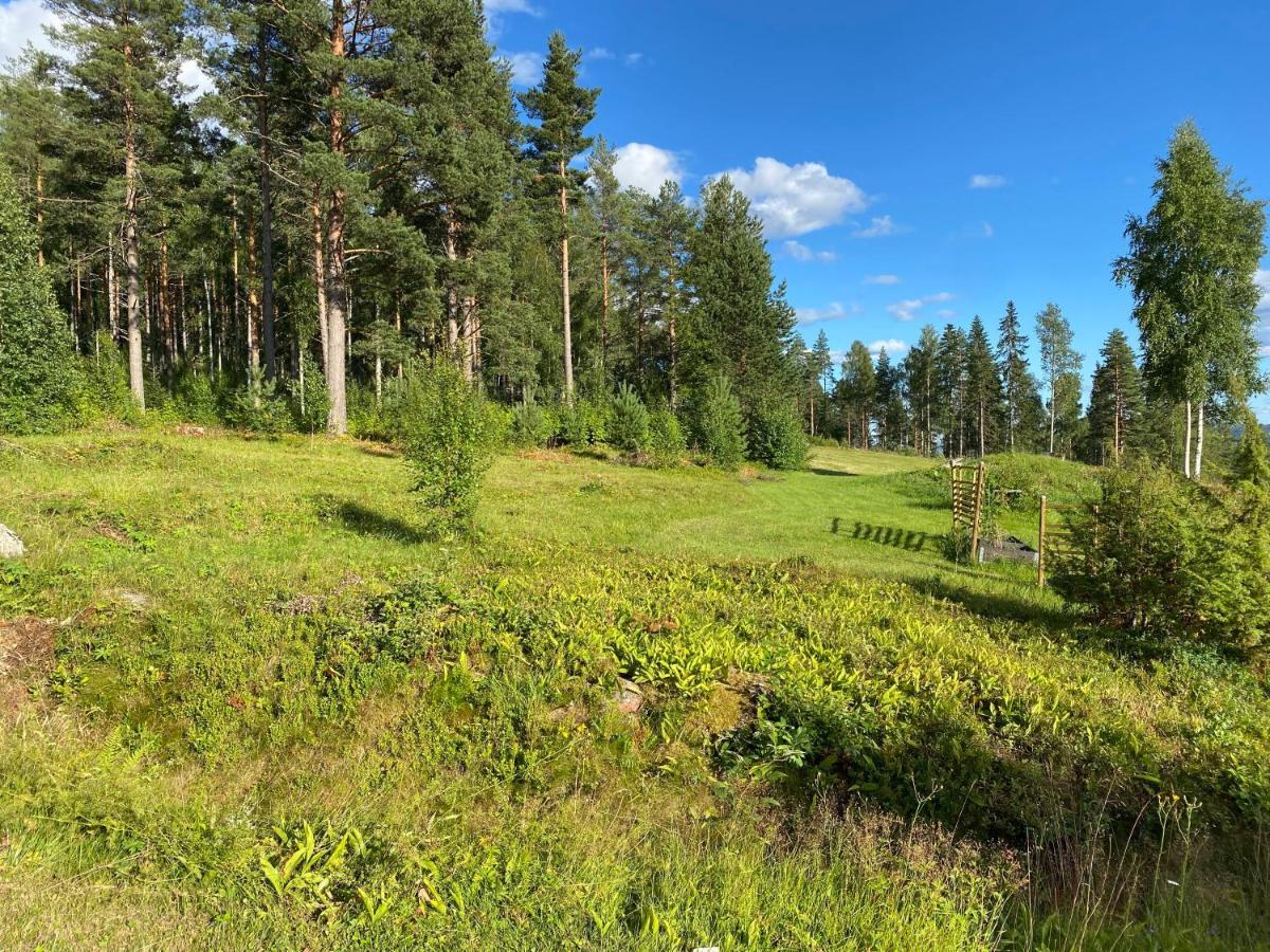 Beautiful 4-5 Persons Cottage In Alvdalen Blyberg Zewnętrze zdjęcie